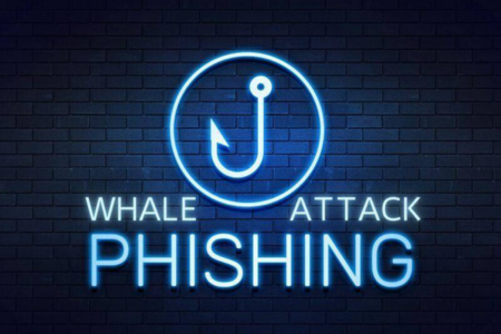 Whale Phishing Scam: How It Works & Tips for Protection